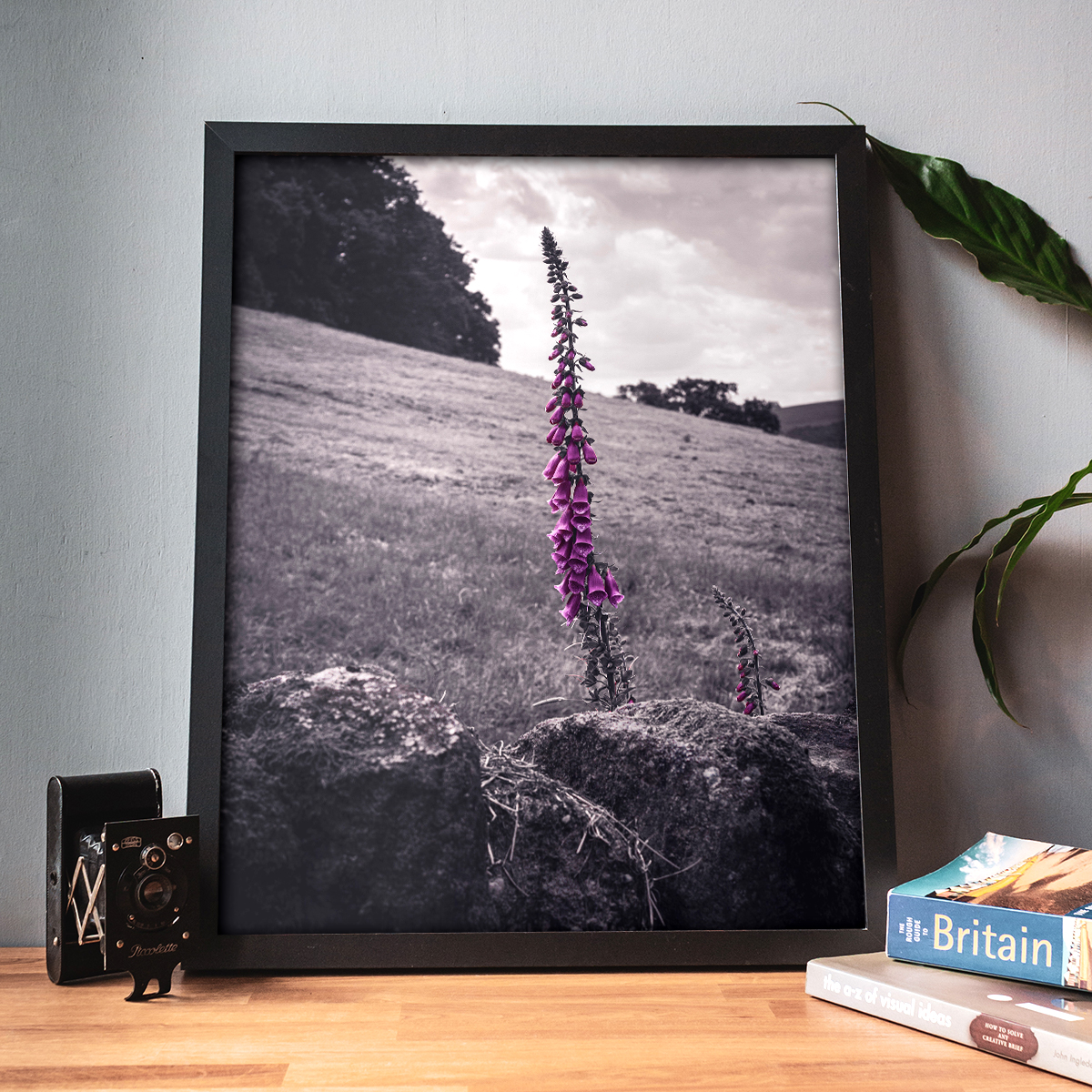 Foxgloves, Bolton Abbey, North Yorkshire | Wall Art, Fine Art Photography Nature Prints