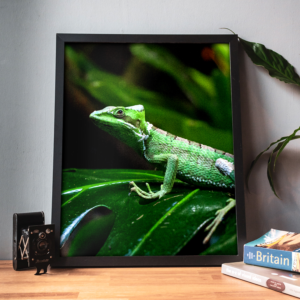 Yer a Lizard Larry | Wall Art, Fine Art Photography Nature Prints