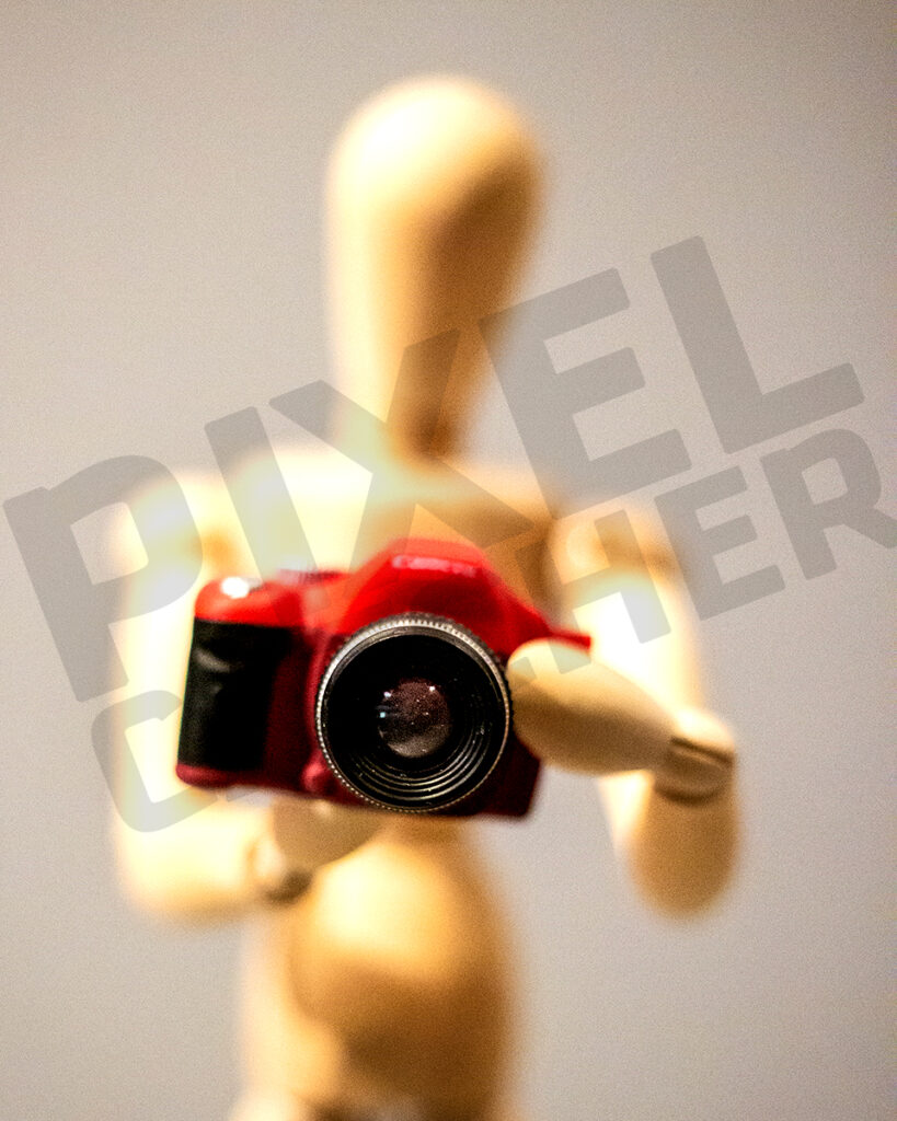 Say Cheese | Wall Art, Fine Art Photography Print