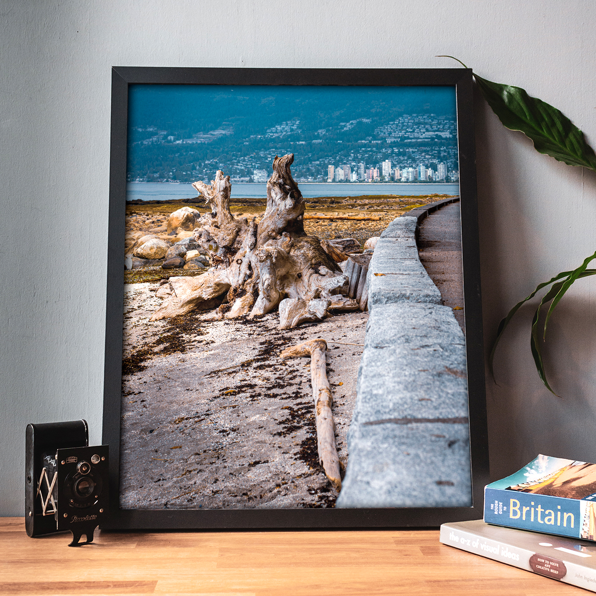 Sea Wall | Stanley Park | Vancouver | Office Wall Art | Fine Art Photography Nature Print