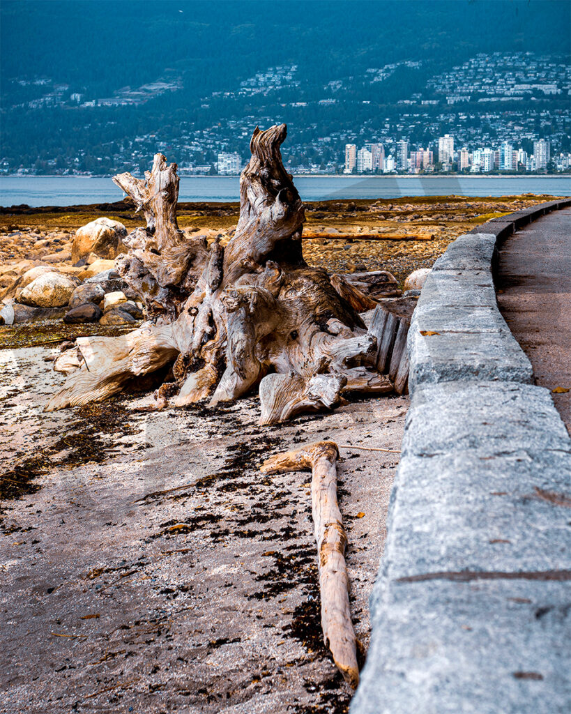 Coastal Wall Art | Seawall, Stanley Park | Artisan Home & Office Decor | Prints