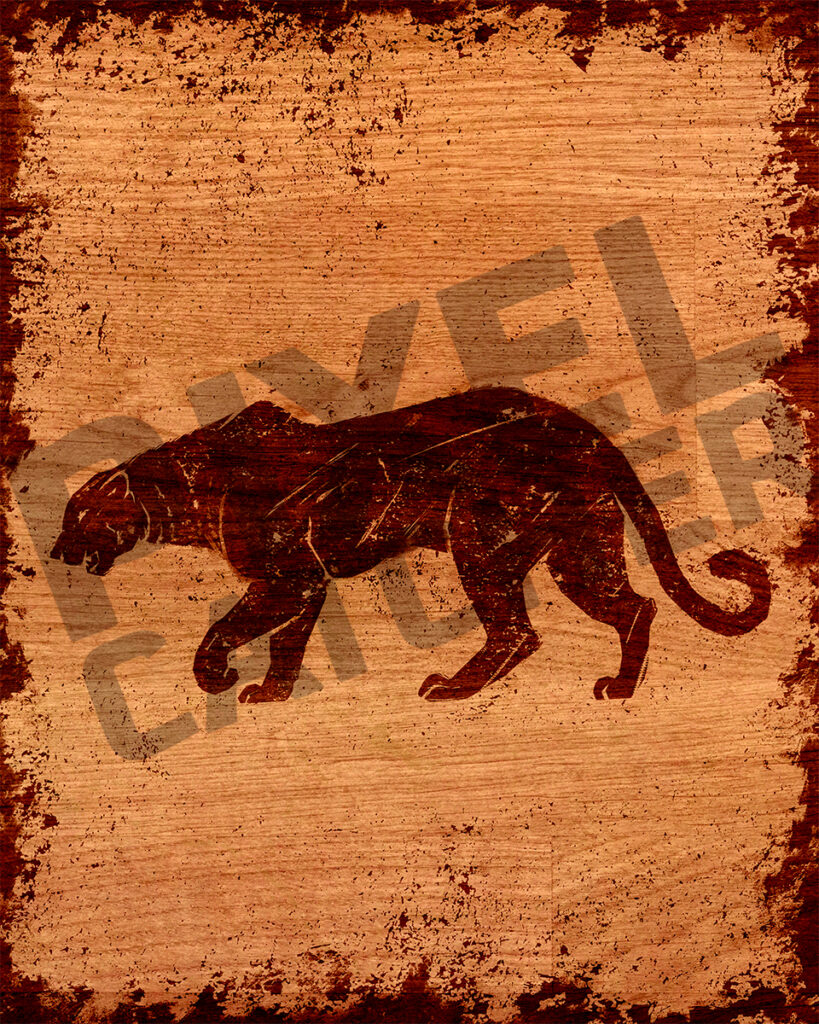 Panther | The Wild Range | Animal Art | Office Wall Art | Fine Art Animal Print