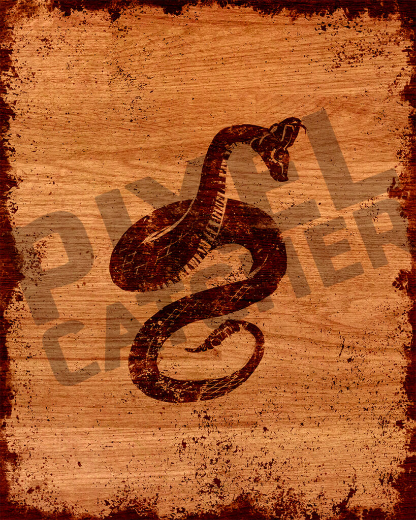 Snake | The Wild Range | Animal Art | Office Wall Art | Fine Art Animal Print