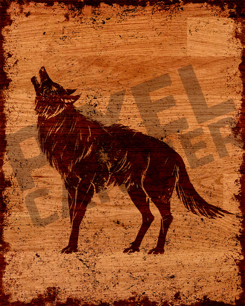 Wolf | The Wild Range | Animal Art | Office Wall Art | Fine Art Animal Print 