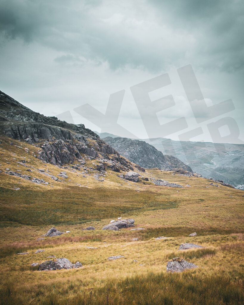 Welsh Walks | North Wales | Tanygrisiau | Office Wall Art | Fine Art Photography Print 
